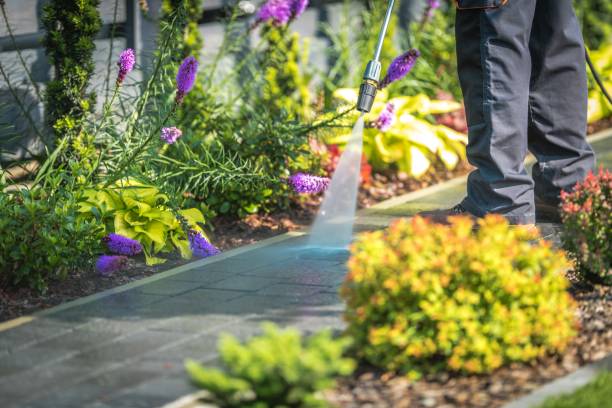 Best Sidewalk and Walkway Cleaning  in Florence, TX