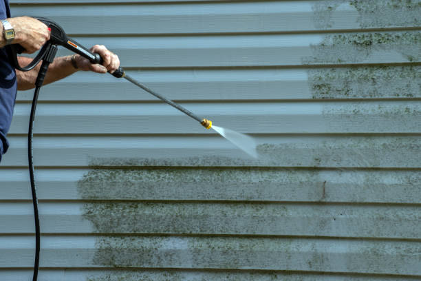 Best Solar Panel Cleaning  in Florence, TX